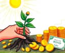 Passo a Passo para Começar a Investir em Renda Fixa