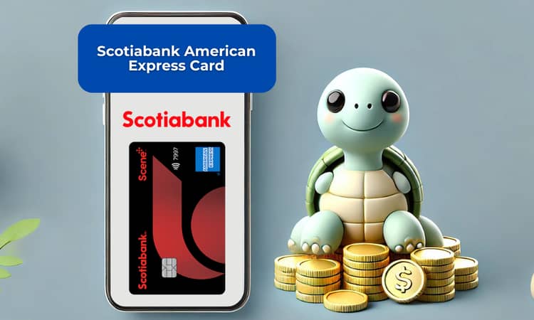 Scotiabank American Express Card: Check everything you need to know